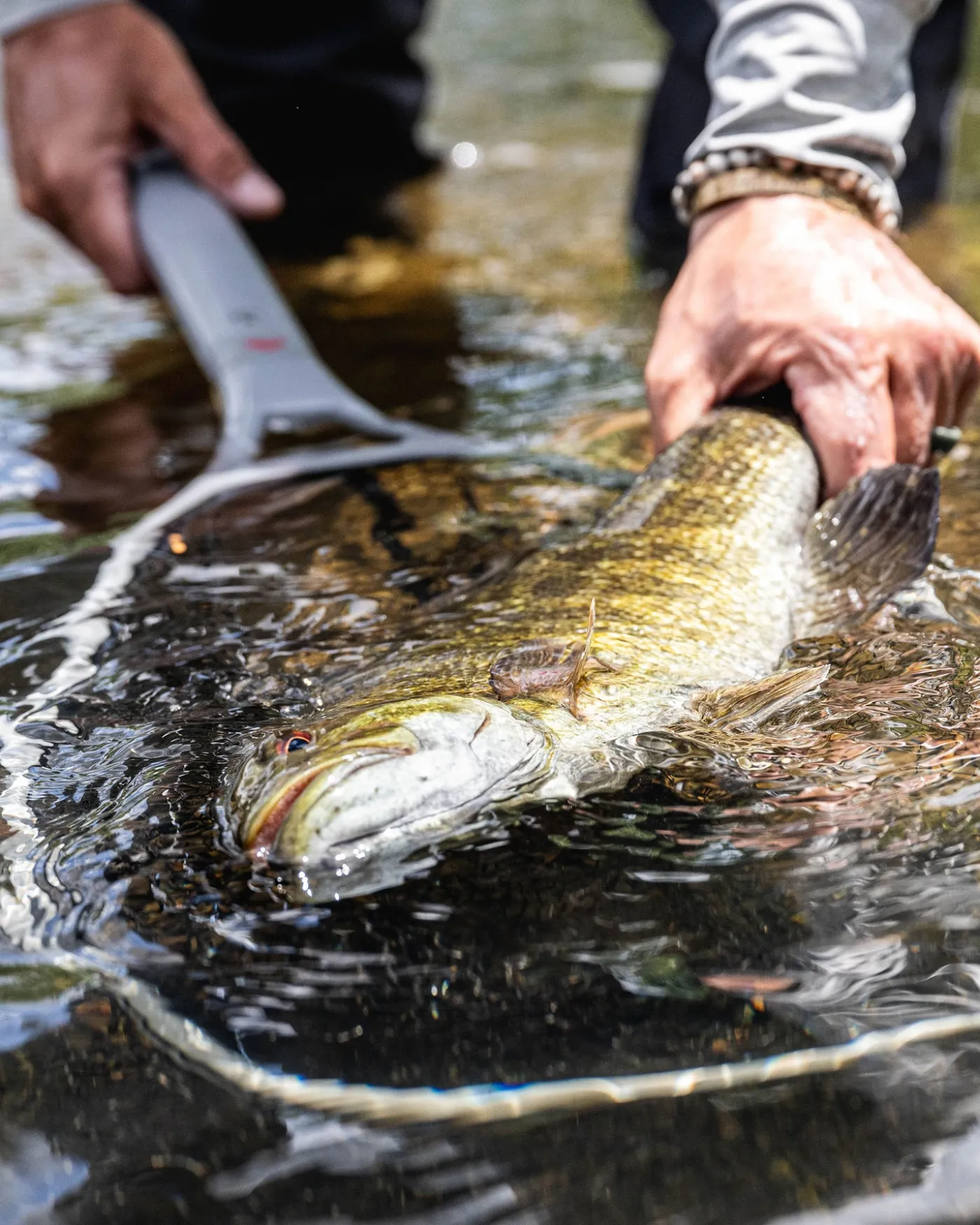 Daymaker Boat Net - Short Handle