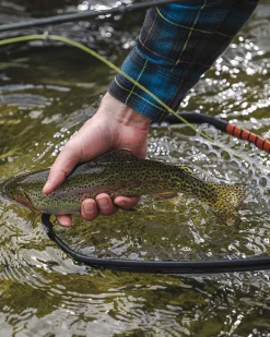 Daymaker Landing Net -Small